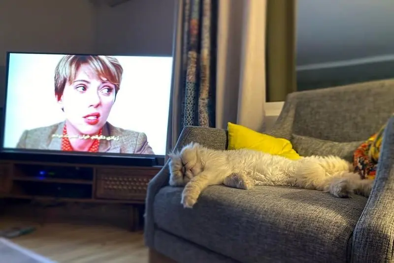 منزل علی اوجی