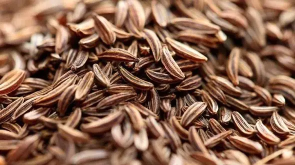 لاغری با این گیاه معطر!