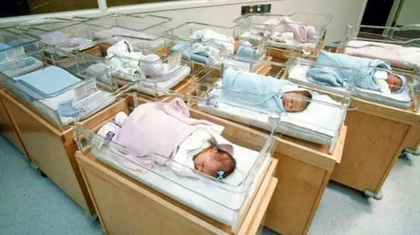 خبر خوب / متولدان 1400 از دولت هدیه می گیرند