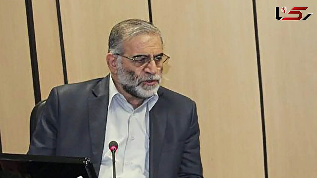  ولایتی: زودتراز آنچه که بعضی فکر می‌کنند انتقام خون شهید فخری زاده را می‌گیریم 