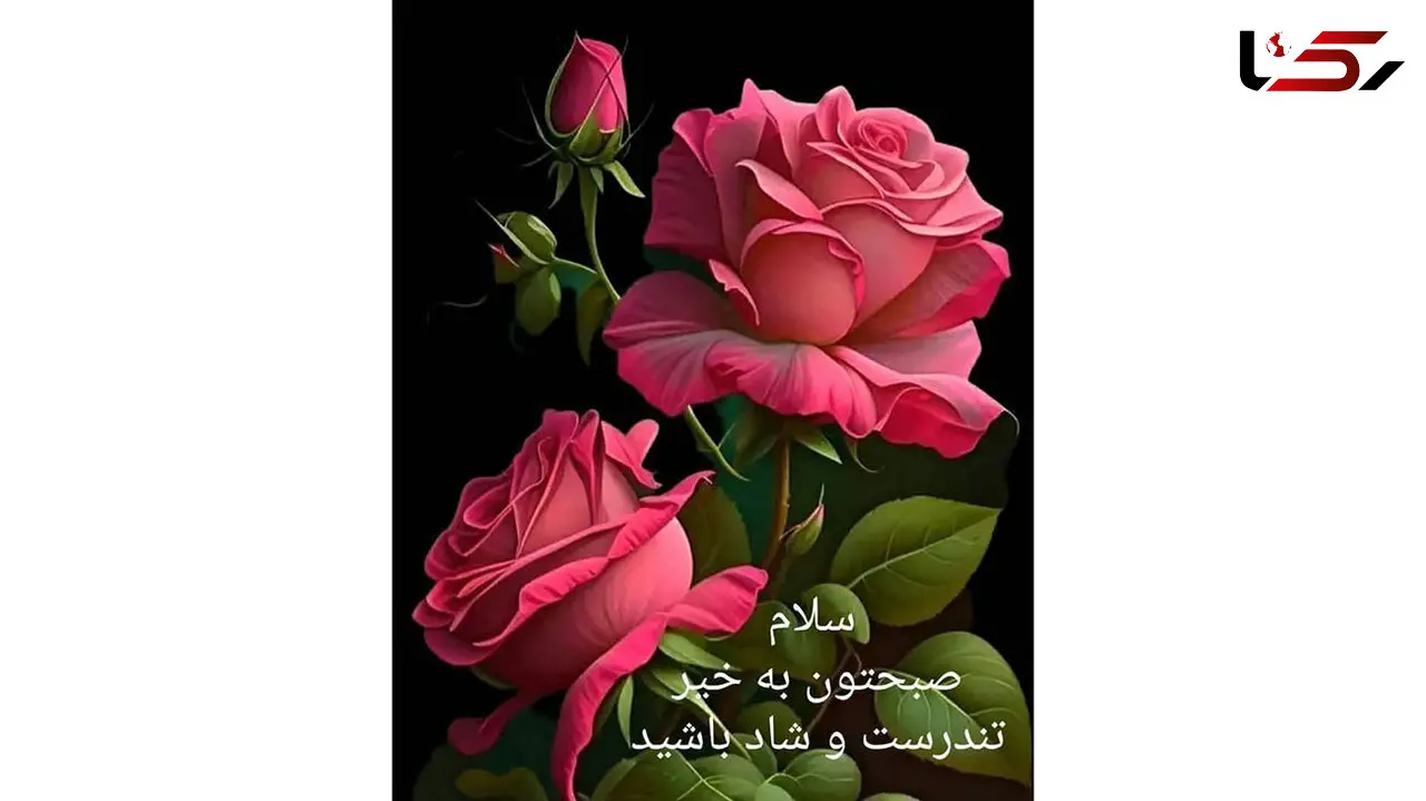 فال و طالع بینی 20 اردیبهشت + فیلم