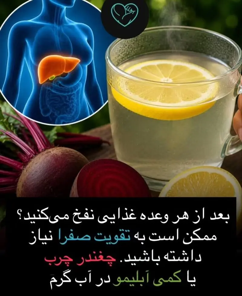 غذای ضد نفخ