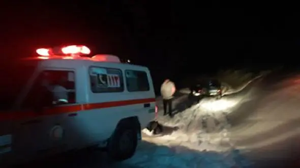 دختربچه 7 ساله در جنگل های دشت شاد ناپدید شد / 17 تیم عملیاتی در حال جستجو