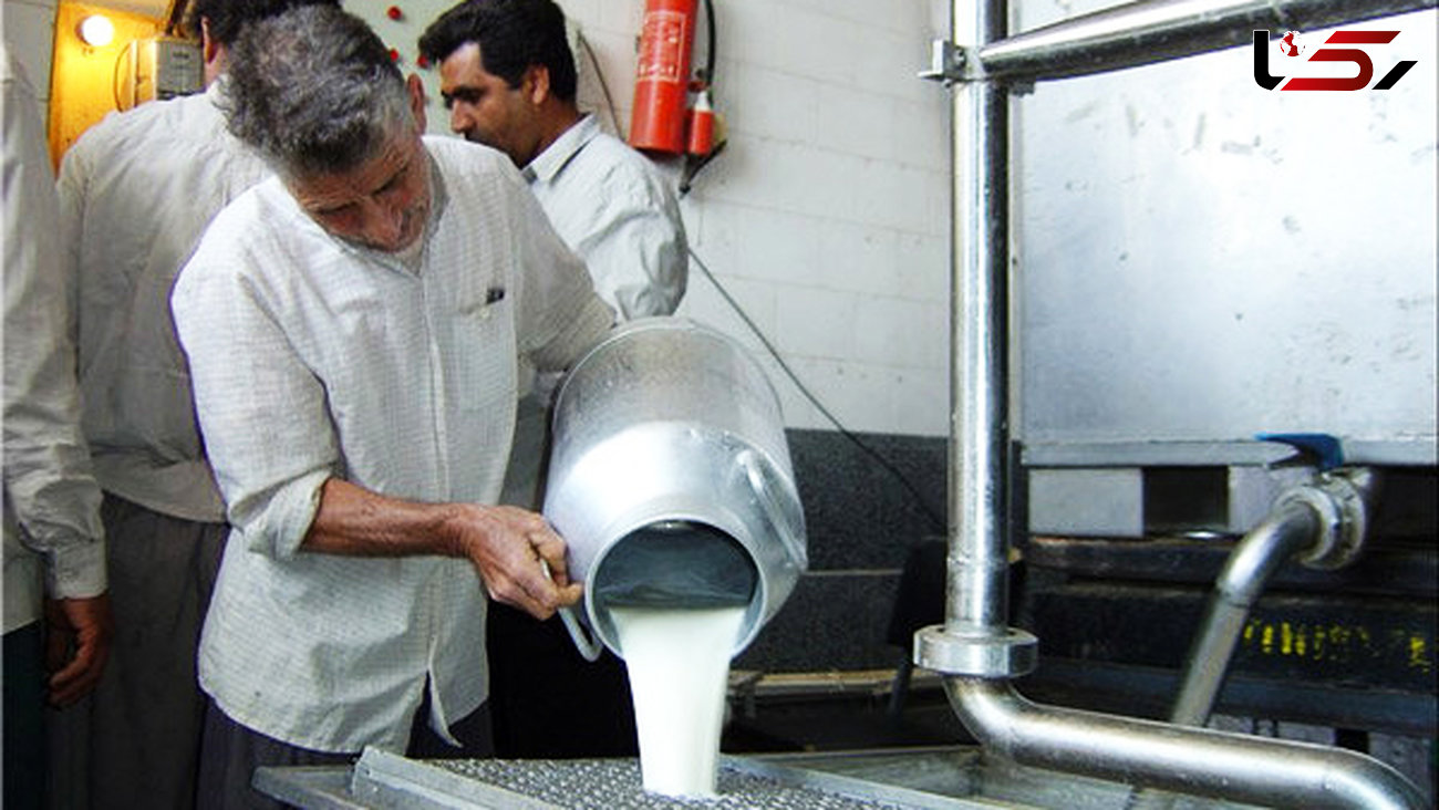 فروش شیر خام در مراکز لبنیات سنتی ممنوع است