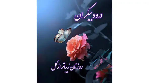 فال و طالع بینی امروز 30 تیر + فیلم 