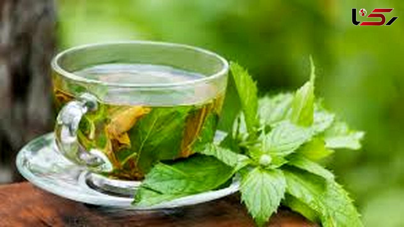 برای جلوگیری از آلزایمر چای سبز بنوشید