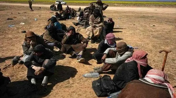 علف خواری و زندگی میان اجساد؛ عاقبت سخت داعشی ها در الباغوز