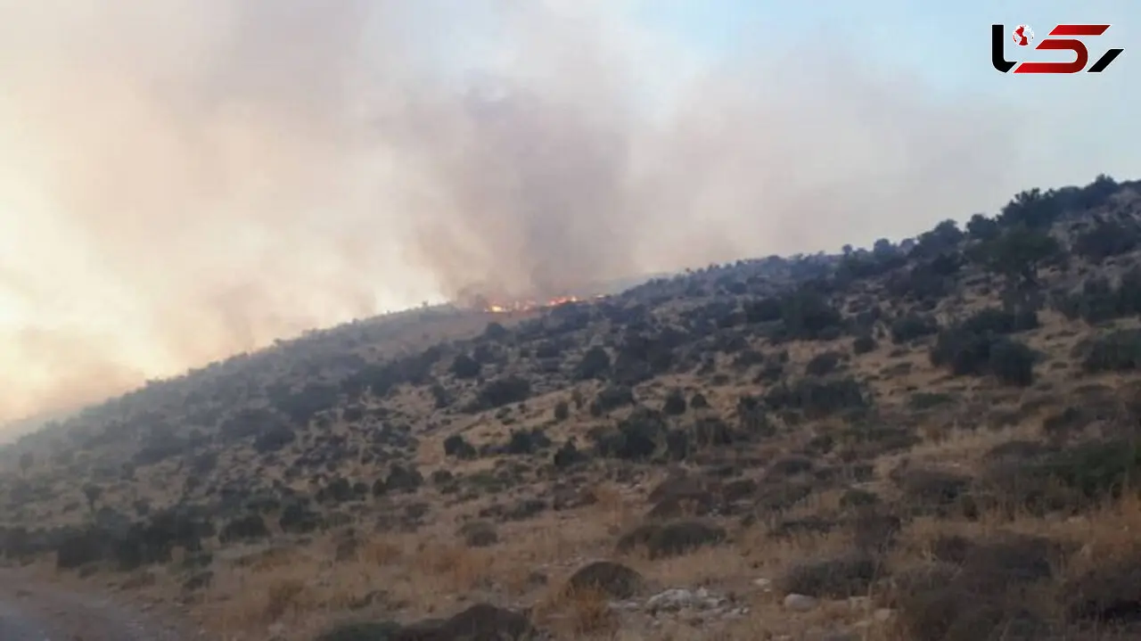 دانش آموز روستایی خبر سقوط هلی کوپتر ایرانی را داد