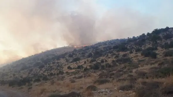 دانش آموز روستایی خبر سقوط هلی کوپتر ایرانی را داد
