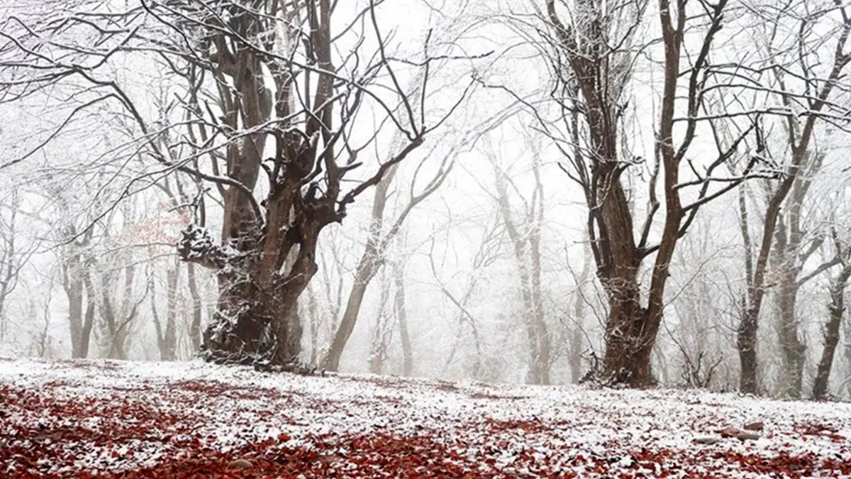 مازندران سفیدپوش؛ بهشت برفی ایران