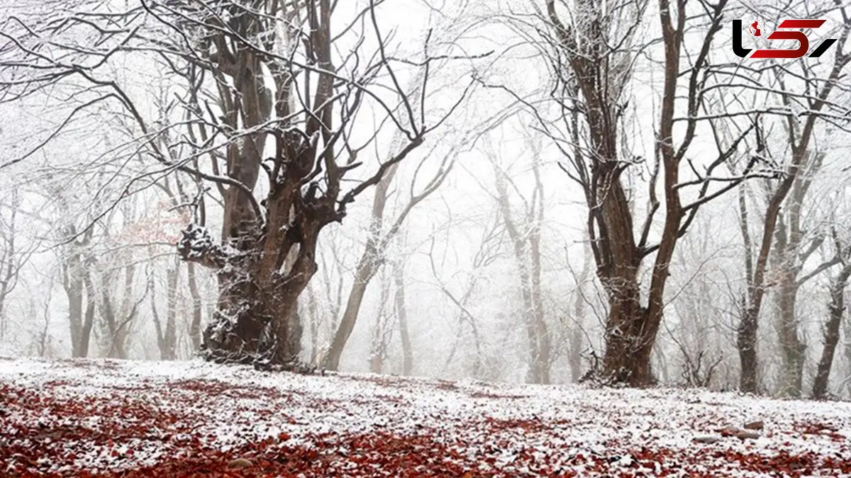 مازندران سفیدپوش؛ بهشت برفی ایران + فیلم