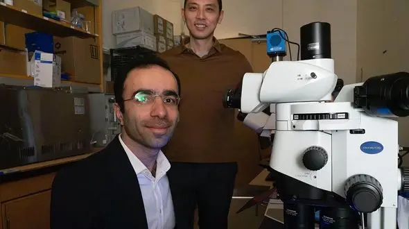 کشف ژن های جوانی توسط دانشمند جوان ایرانی 