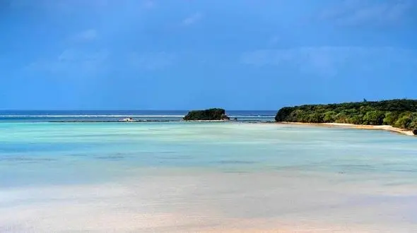 کشف یک گونه جدید عنکبوت + عکس