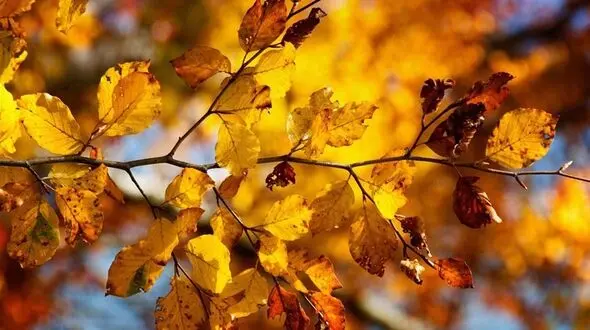 نکات جالب درباره ماه آذر + فیلم