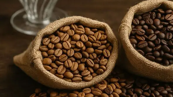 تفاوت دانه‌ های قهوه از کافئین تا طعم؛ راهنمای خرید قهوه