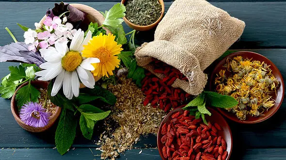 گیاهانی که قدتان را بلند می کنند!