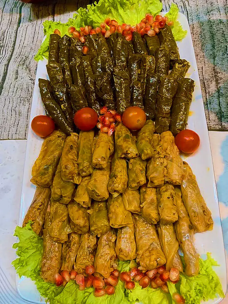 انواع دلمه برگ مو