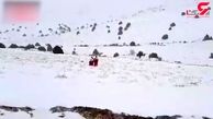 نجات کارگران معدن گانو در برف و کولاک دامغان + فیلم