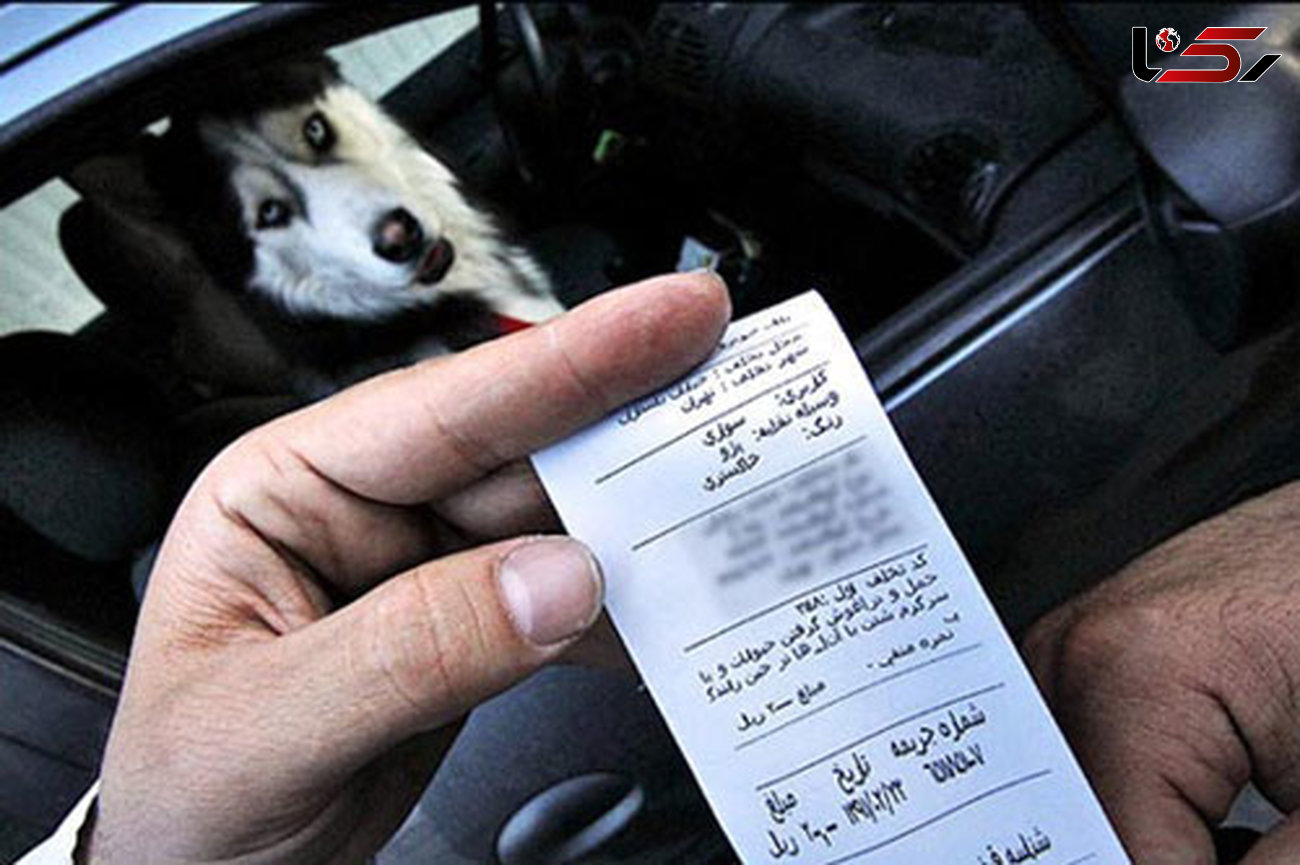 برخورد پلیس راهور با سگ‌گردانی در خودرو
