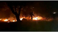5 آتش سوزی در جنگل های کهگیلویه و بویراحمد مهار شد