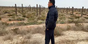 آبادان و خرمشهر به گورستان نخل ها تبدیل شد/ مرگ 4 میلیون نخل و قتلی که ادامه دارد/ سدها ناکارآمد، بهمن‌شیر در بحران + صوت