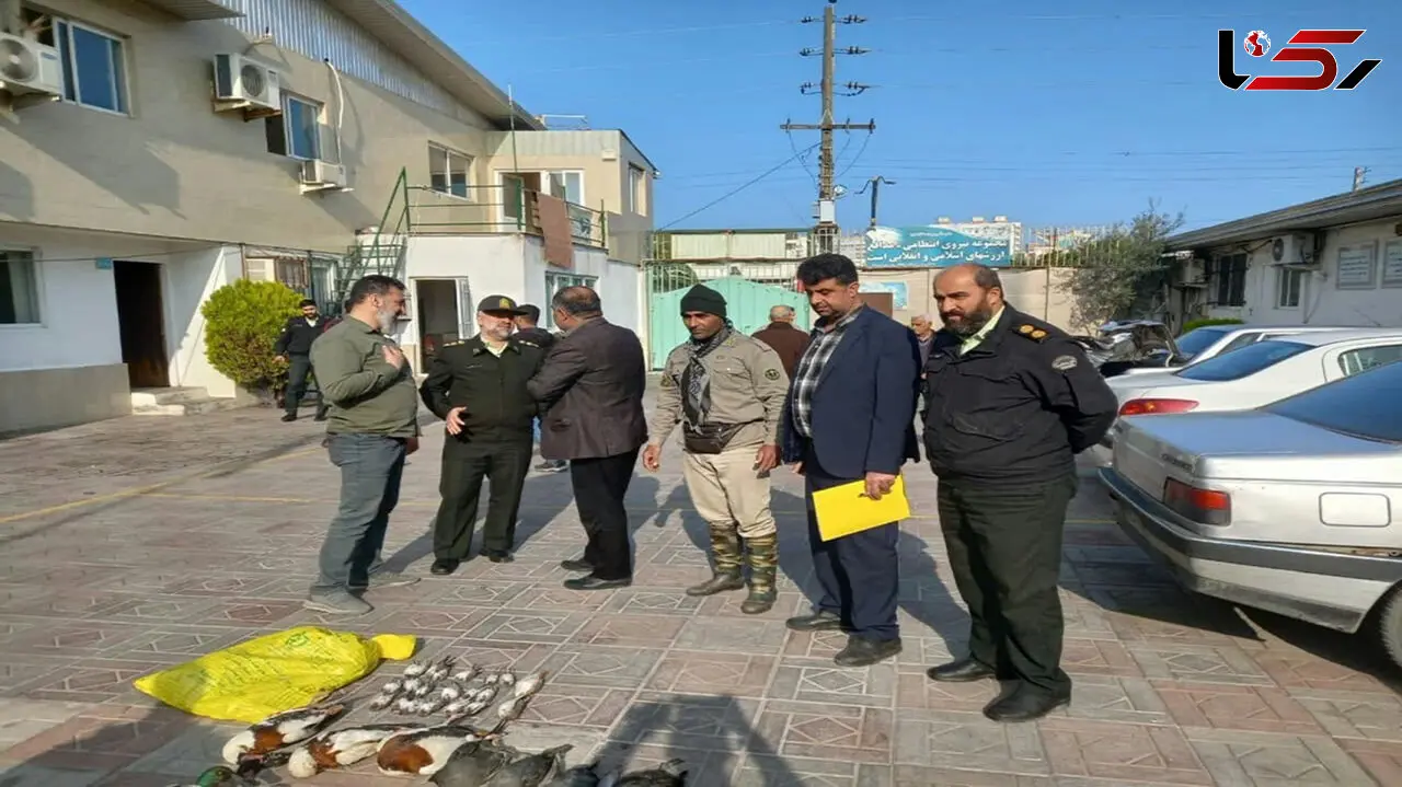 بازداشت 2 مرد با پرندگان کمیاب و زیبا در فریدونکنار + عکس