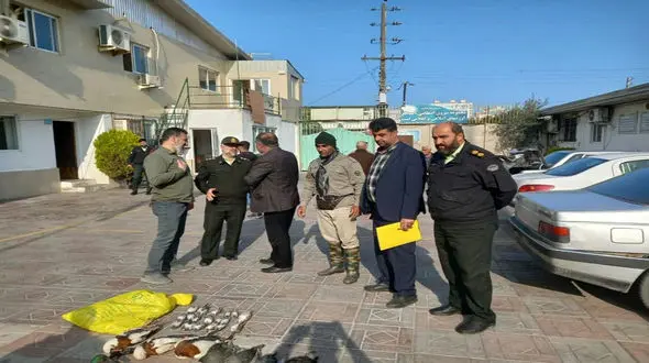 بازداشت 2 مرد با پرندگان کمیاب و زیبا در فریدونکنار + عکس