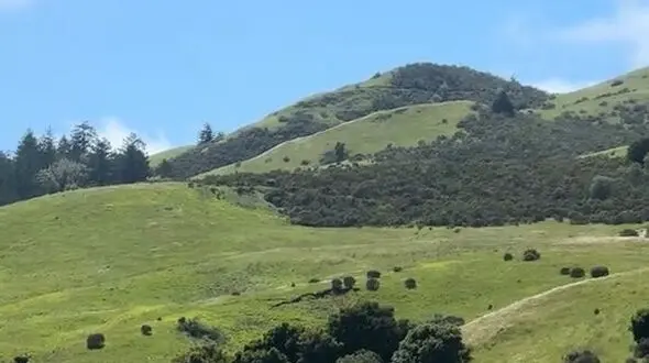 طبیعت جایی برای آرامش روح
