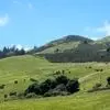 طبیعت جایی برای آرامش روح