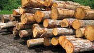 کشف انبارِ 92 اصله چوب جنگلی قاچاق