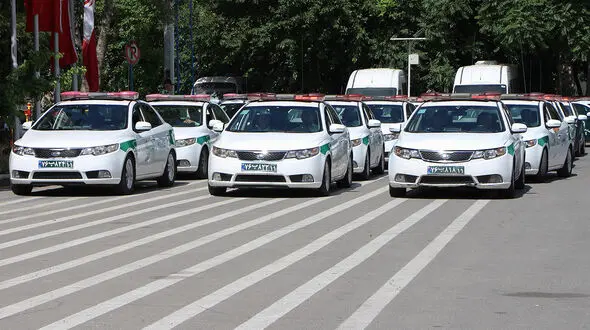 دستبند پلیس بر دستان سارقان مزارع کشاورزی در رامهرمز 