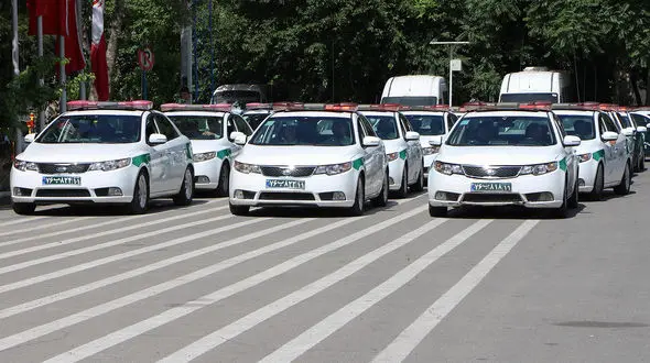 دستبند پلیس بر دستان سارقان مزارع کشاورزی در رامهرمز 