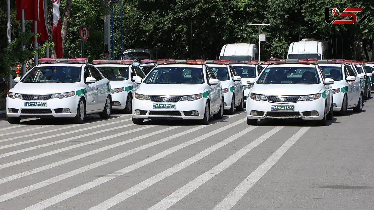 دستبند پلیس بر دستان سارقان مزارع کشاورزی در رامهرمز 