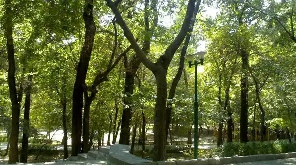 نقشه پارک قیطریه و مساجد اطراف / عکس