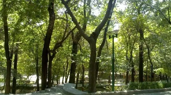 ارزیابی ایمنی بیش از 1000 بوستان در تهران