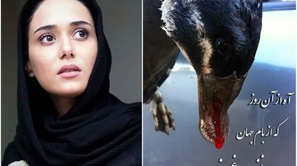  پریناز ایزدیار: بازار پرنده‌فروشان فریدونکنار را تحریم کنید / میهمان‌کشی رسم ما نیست!  