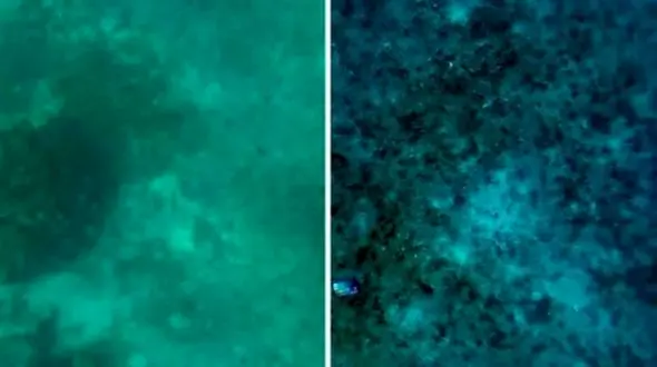 روش‌ های پیشرفته برای دیدن دنیای زیر آب با وضوح بالا