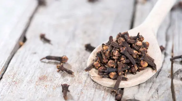 فواید میخک برای سلامتی و اثر ضد سرطانی آن