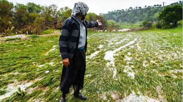 پای درد دل کشاورز لرستانی که سیل زندگی اش را برد / اشک‌هایی به درشتی انجیر + عکس