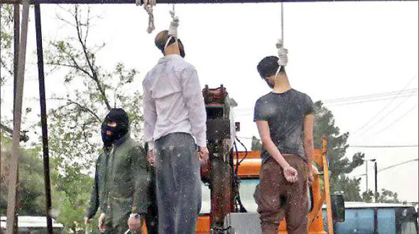 اعدام علنی 2 کرکس در مشهد + عکس