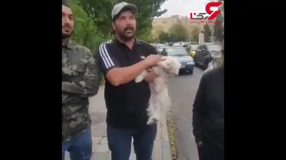 نجات سگ نگون‌بخت از چنگال زن تهرانی / اقدام بی رحمانه ای که همه را خشمگین کرد+فیلم