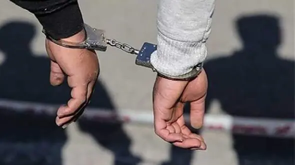 پرستار خانگی همیشه مسلح بود / در باغ فیض لو رفت