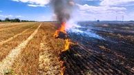 آتش زدن کاه و کلش در مزارع لرستان ممنوع
