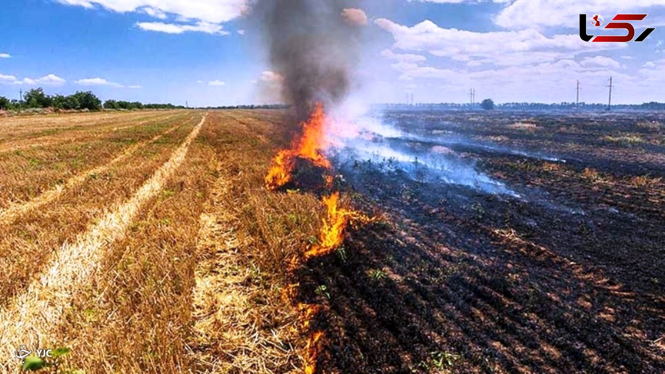 آتش زدن کاه و کلش در مزارع لرستان ممنوع