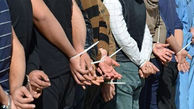 23 فقره سرقت در ملایر / دستگیری 8 سارق حرفه ای