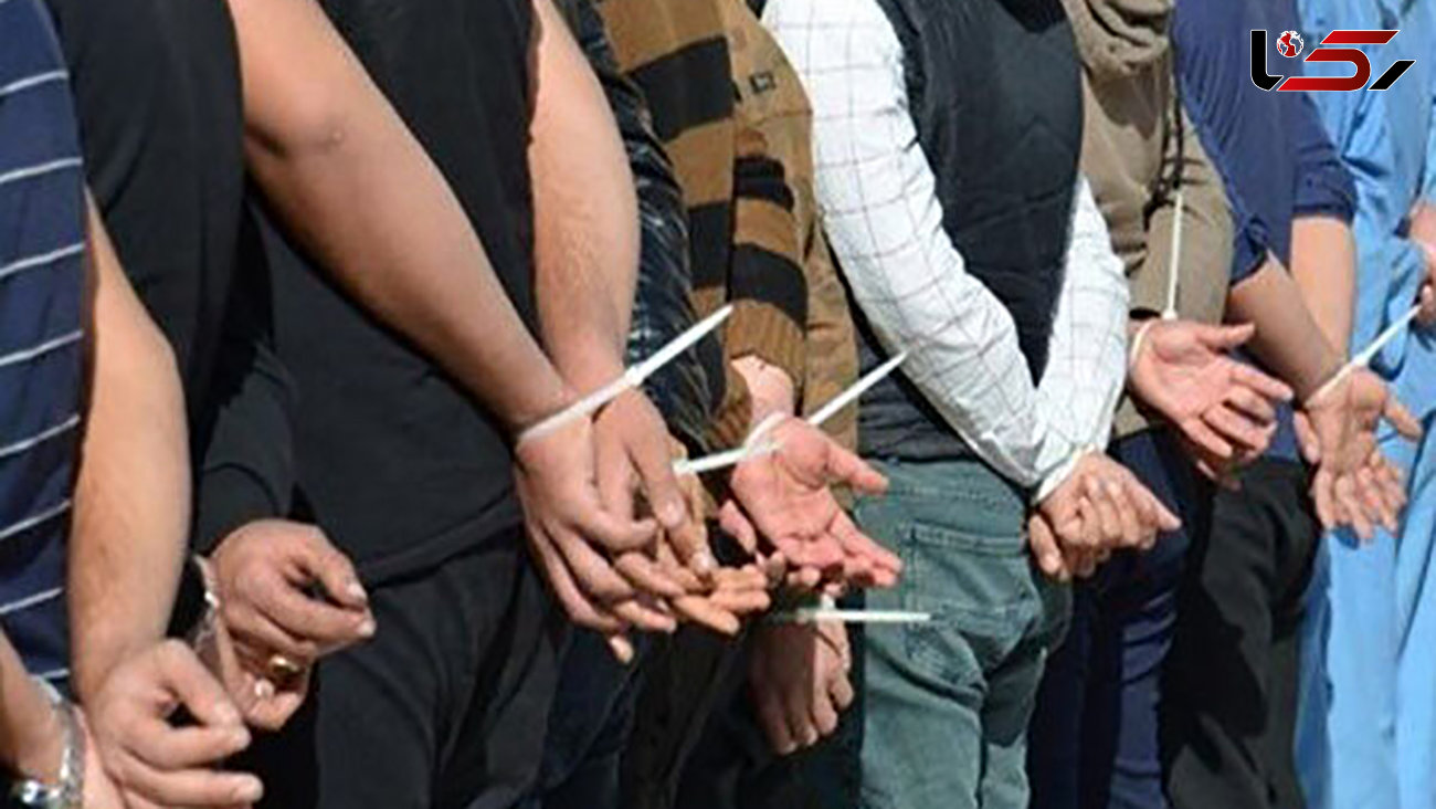 23 فقره سرقت در ملایر / دستگیری 8 سارق حرفه ای