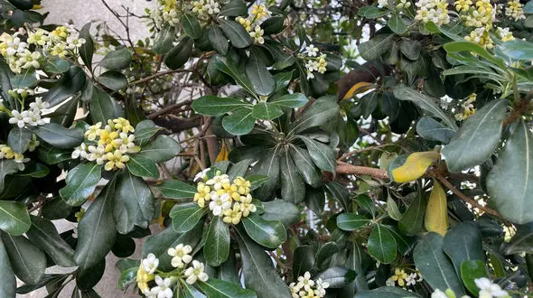 فال روزانه شخصی / 7 اردیبهشت ماه + فیلم