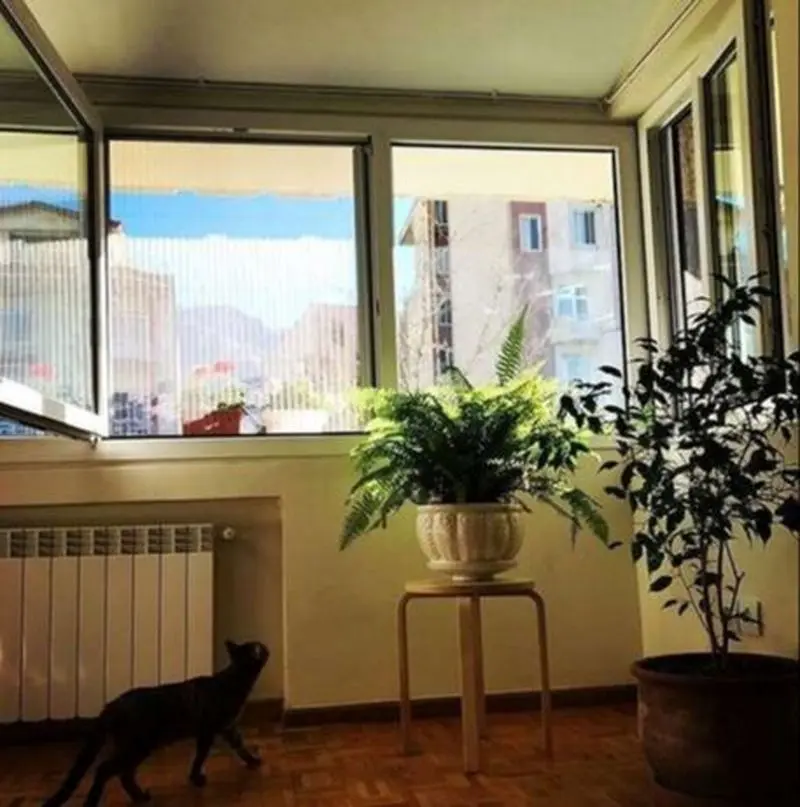 منزل هانیه توسلی