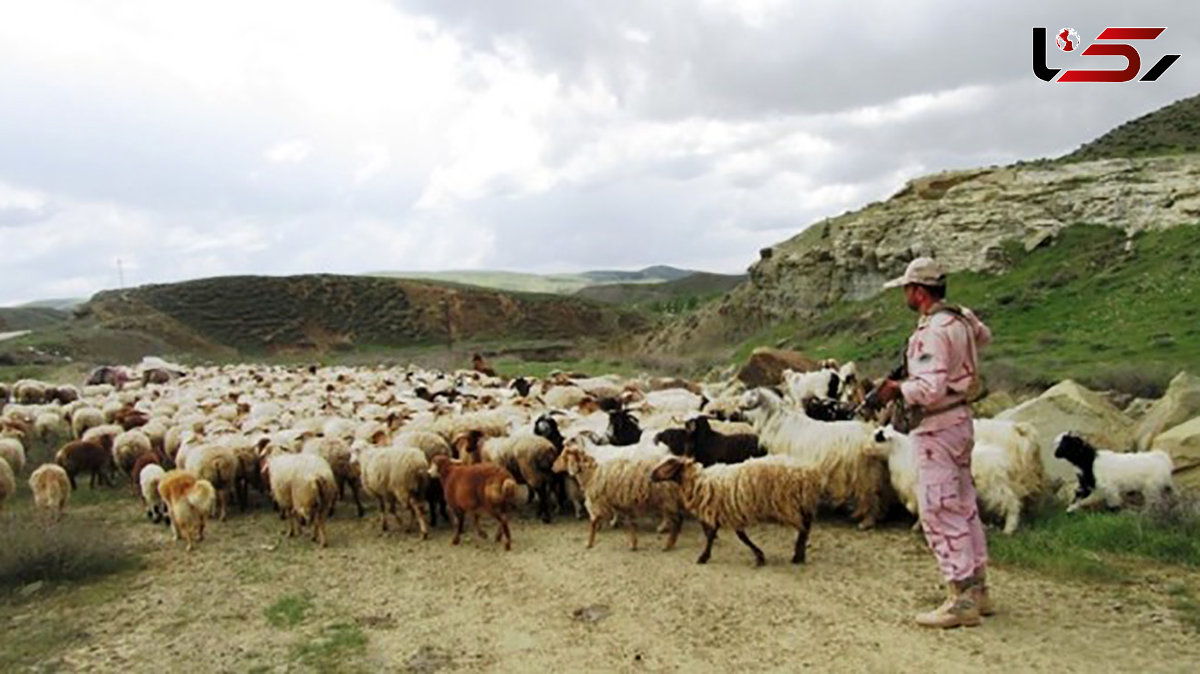  مهار ۸۰۰ رأس احشام توسط مرزبانان درگز