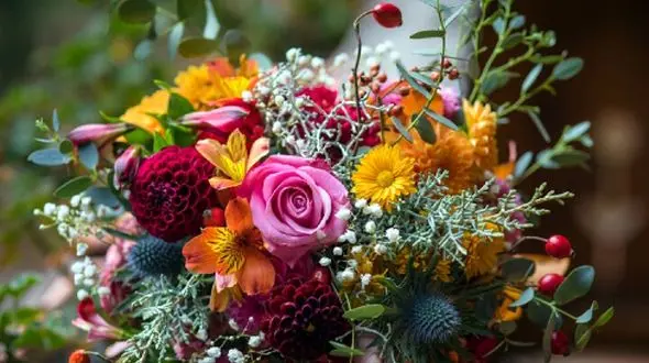 هر کشور چه گلی را نماد خود دانسته است؟ لیست کامل گل‌ های ملی